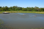 Das Wasserreservoir dient auch als Swimmingpool