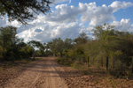  Der Mittelweg (Callejon) auf Amistad