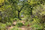 Our conservation area of Estancia Amistad