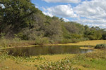 Fresh water lagoon