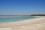 Salty lagoon during flowering of alguae