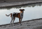 Bonito, loves to to be outdoors