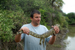 Thomas with <i>Caiman yacare</i>