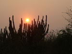 Sonnenaufgang bei rauchigem Winterhimmel