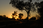 Amanecer en el Chaco Alto