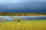 Dark clouds at Salazar