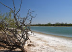 Salty lagoons at Campo Maria