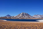 Laguna Miscanti en altura de 4200 m