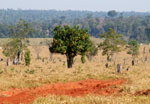 Typical landscape in San Pedro