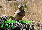 Ambiente y Biota Bolivia